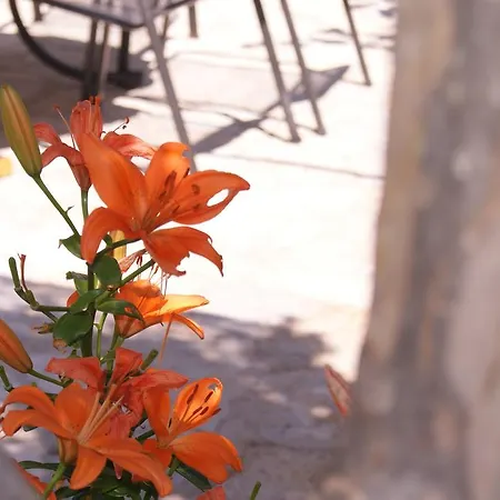 Emily Apartman Blagaj